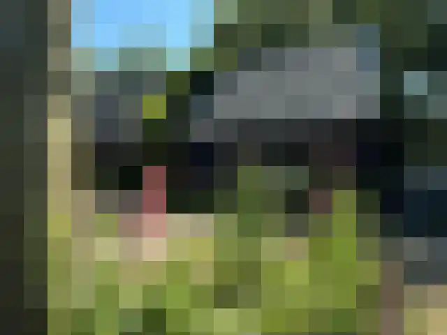 de Hoef Westzijde 47 de Hoef thumbnail 64