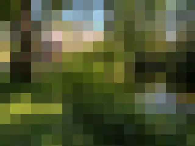 de Hoef Westzijde 47 de Hoef thumbnail 65