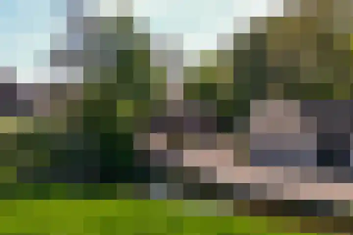 de Hoef Westzijde 47 de Hoef thumbnail 66