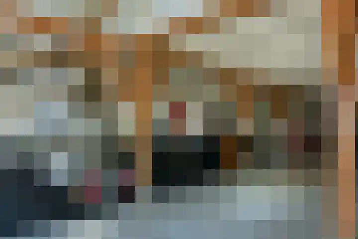 de Hoef Westzijde 47 de Hoef thumbnail 8