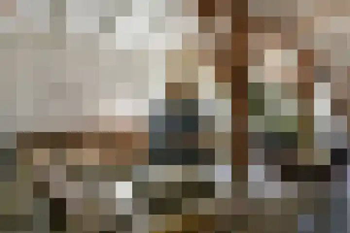 de Hoef Westzijde 47 de Hoef thumbnail 9