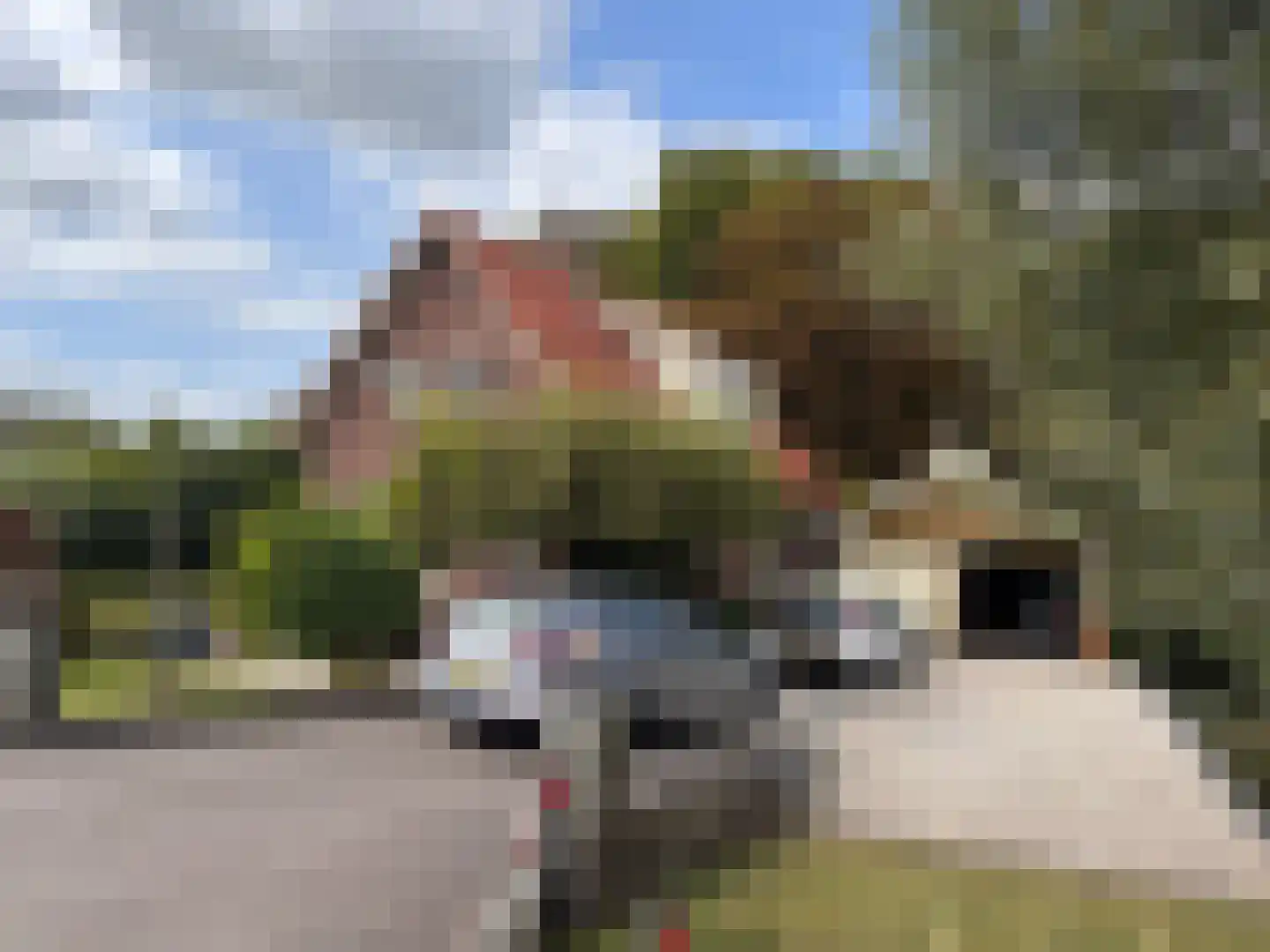 de Hoef Westzijde 48 in de Hoef
