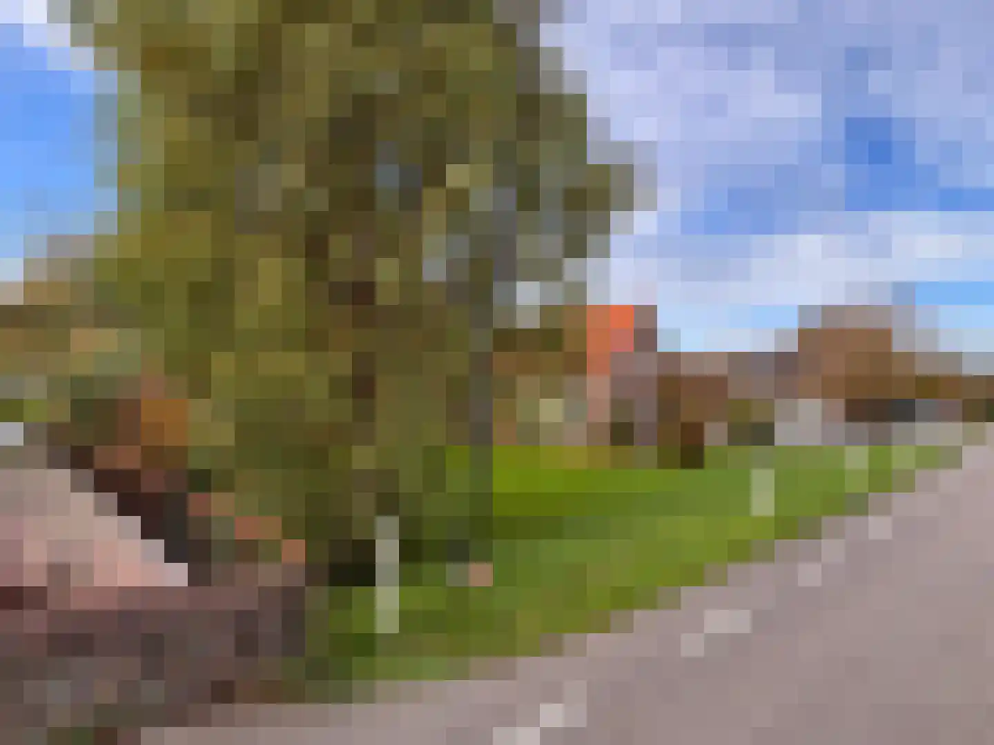 de Hoef Westzijde 48 de Hoef thumbnail 10