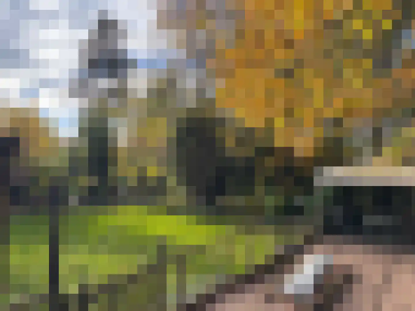 de Hoef Westzijde 48 de Hoef thumbnail 8