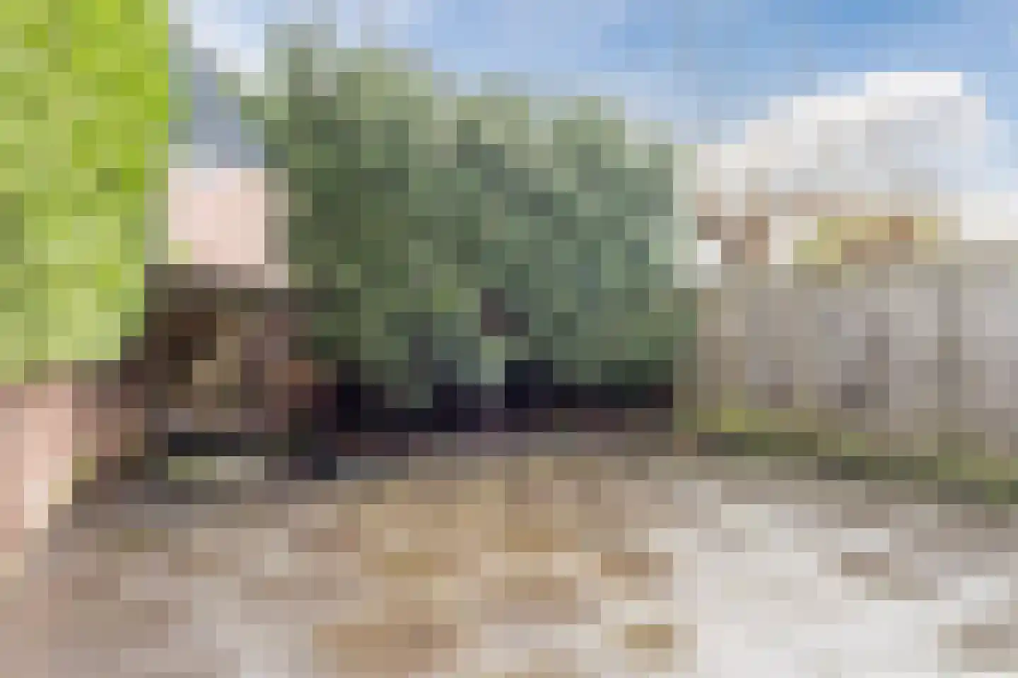 de Hoefkamp 1012 Nijmegen thumbnail 15