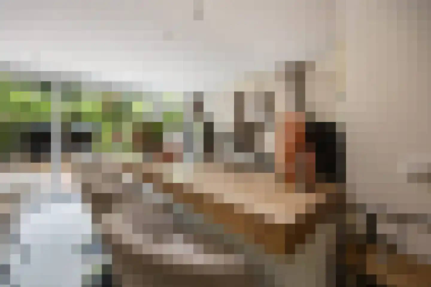 de Hoefkamp 1044 Nijmegen thumbnail 13