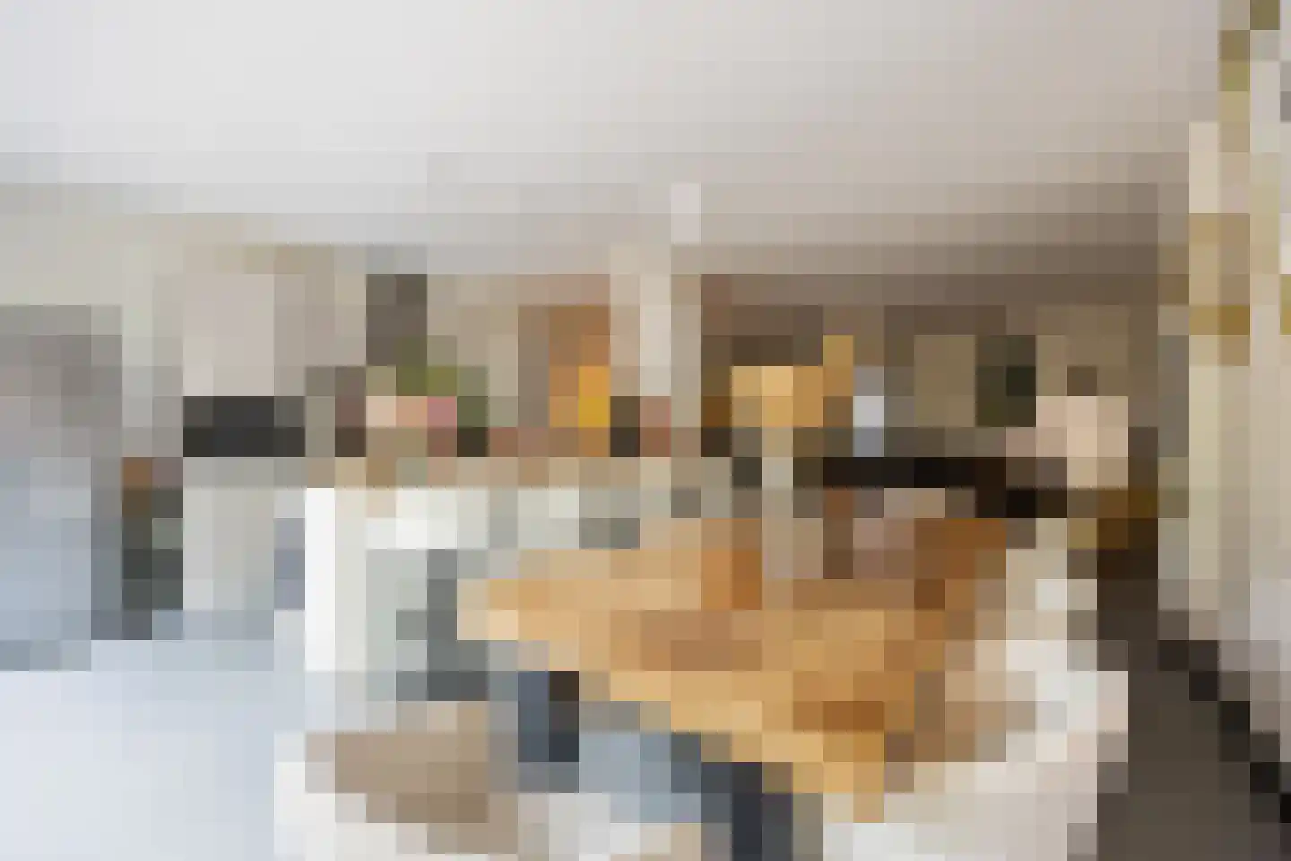 de Hoefkamp 1044 Nijmegen thumbnail 14