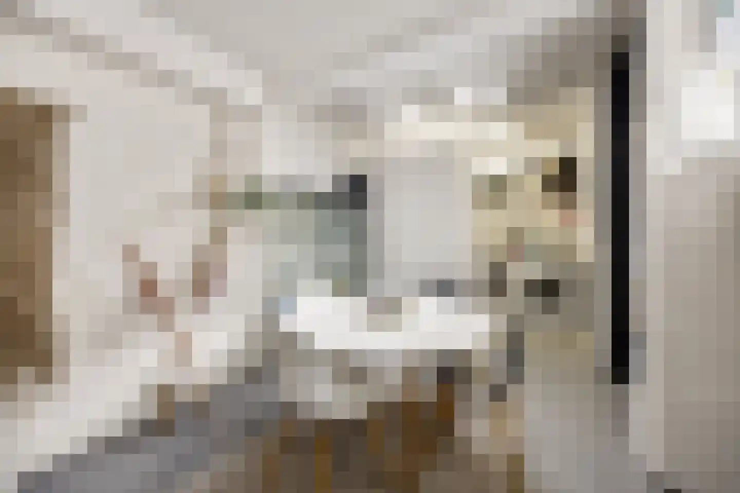 de Hoefkamp 1044 Nijmegen thumbnail 20