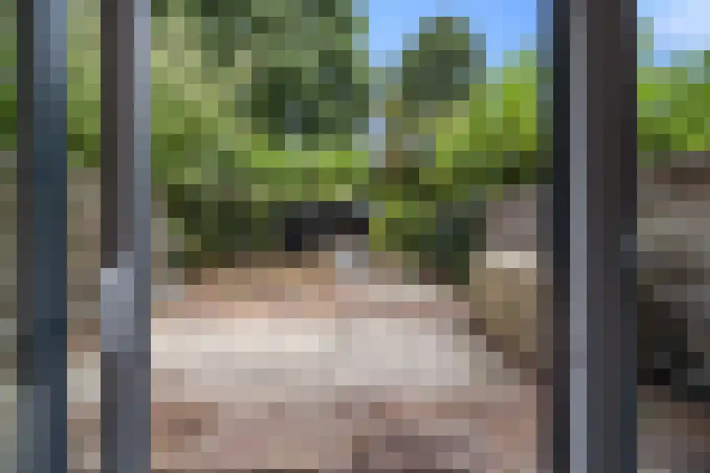 de Hoefkamp 1044 Nijmegen thumbnail 42