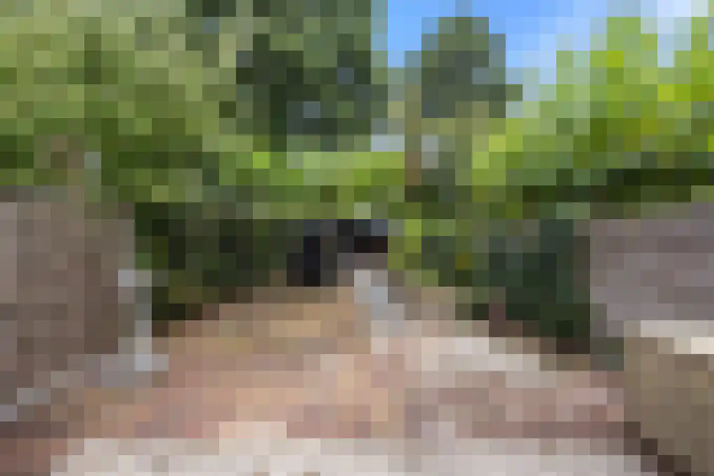 de Hoefkamp 1044 Nijmegen thumbnail 43