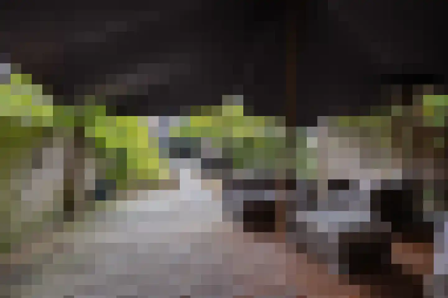 de Hoefkamp 1044 Nijmegen thumbnail 47