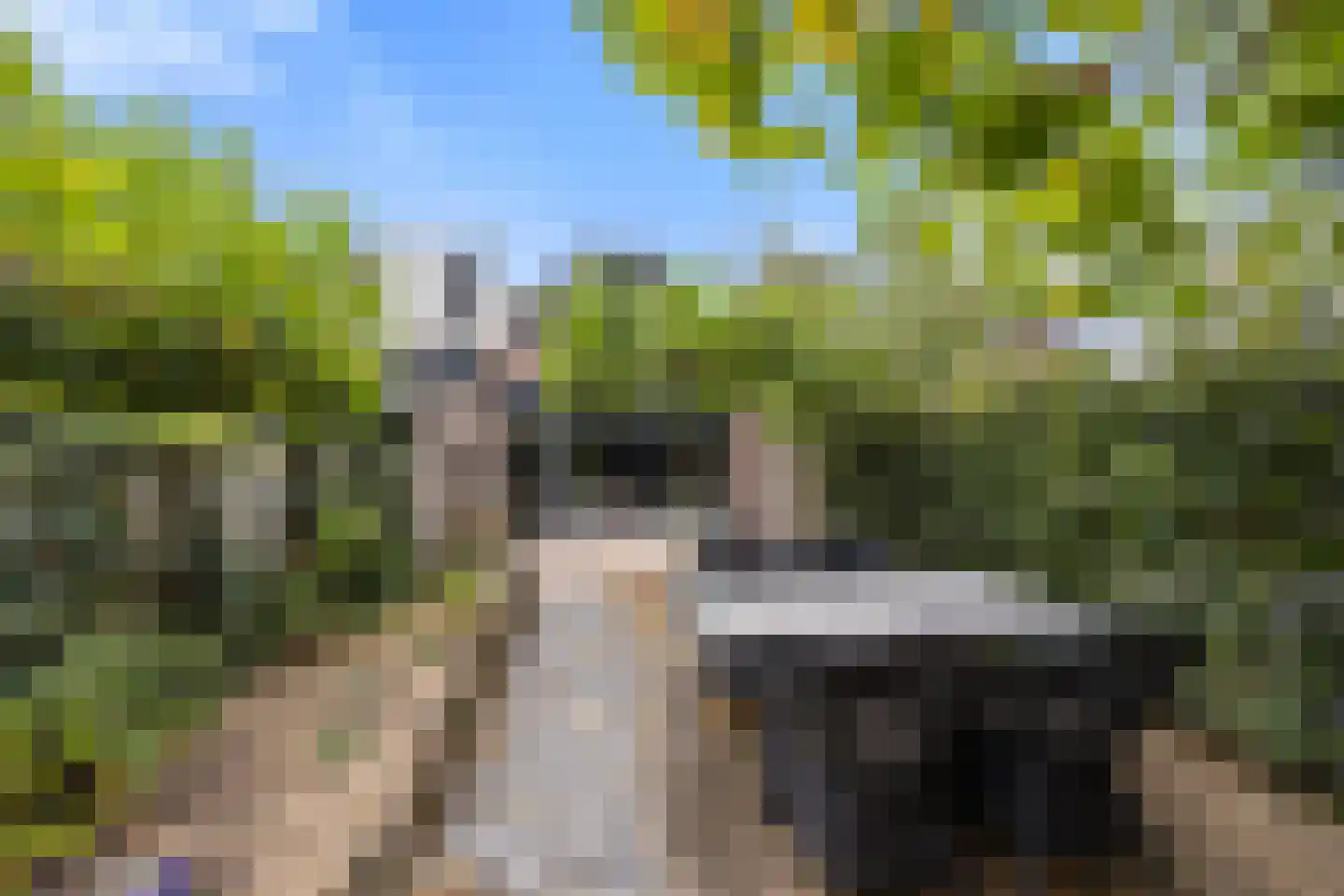 de Hoefkamp 1044 Nijmegen thumbnail 48
