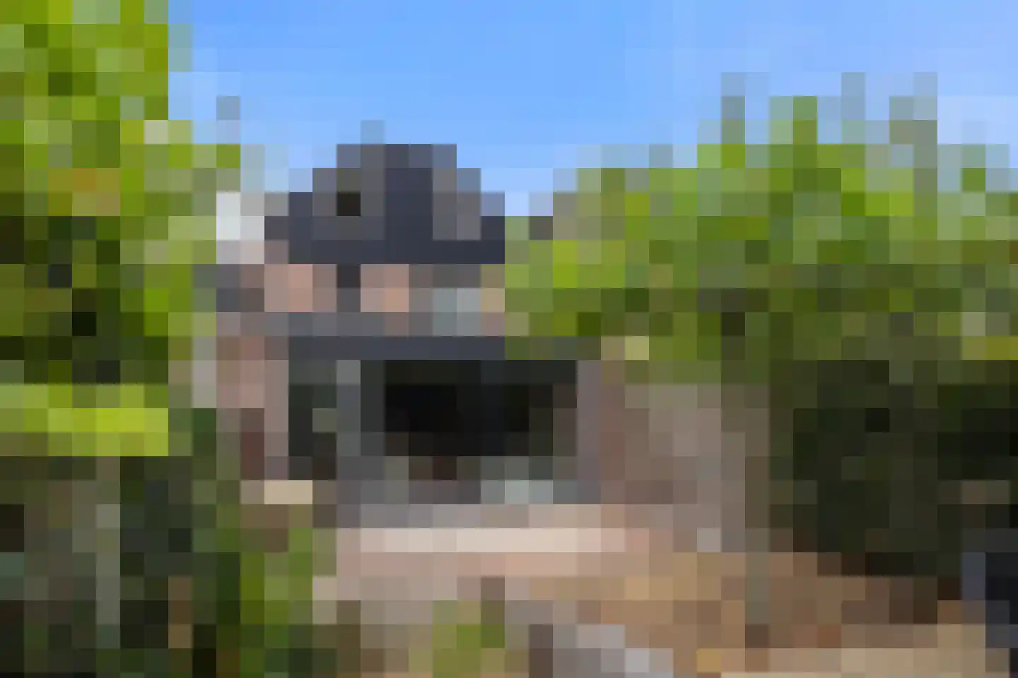 de Hoefkamp 1044 Nijmegen thumbnail 49
