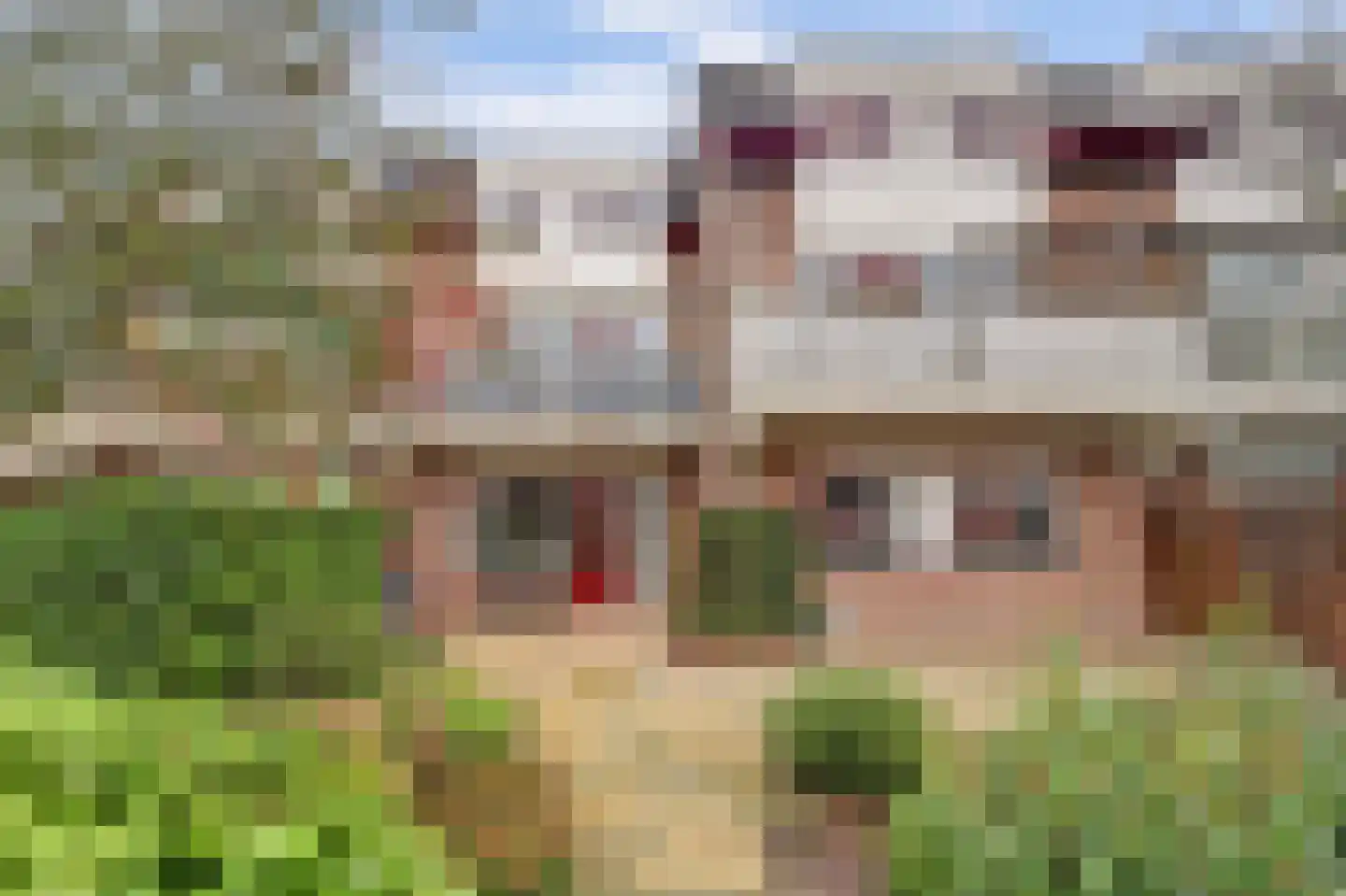de Hoefkamp 1110 Nijmegen thumbnail 24