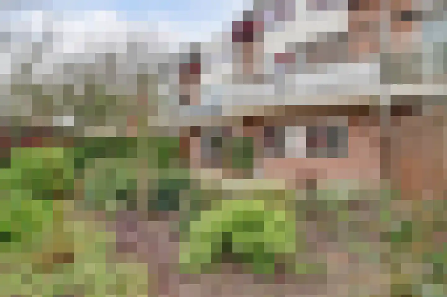 de Hoefkamp 1110 Nijmegen thumbnail 30