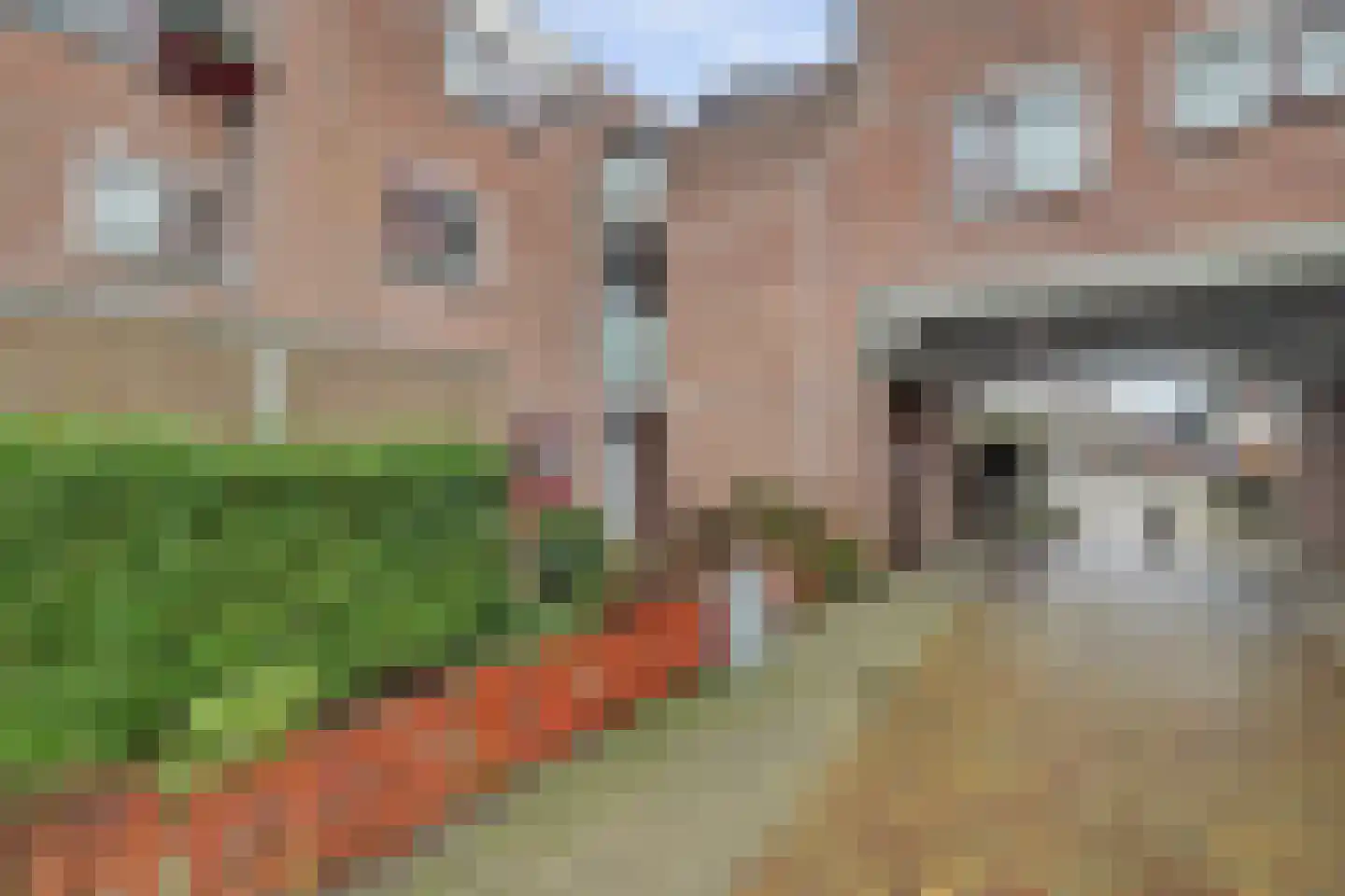 de Hoefkamp 1110 Nijmegen thumbnail 36