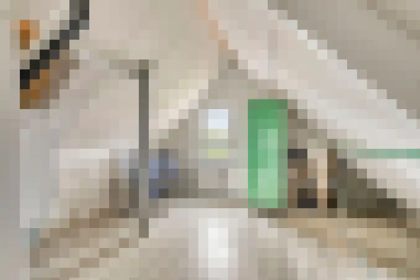de Hoefkamp 1113 Nijmegen thumbnail 28