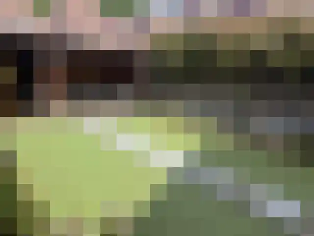 de Hoefkamp 1113 Nijmegen thumbnail 32
