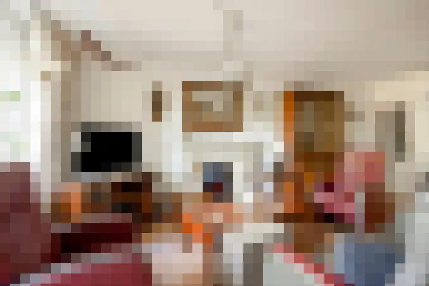 de Hoefkamp 1142 Nijmegen thumbnail 11