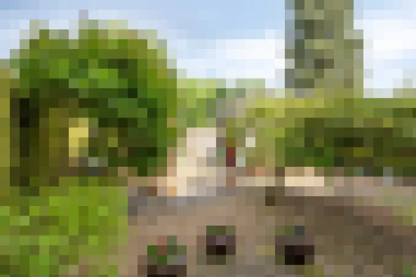 de Hoefkamp 1142 Nijmegen thumbnail 22