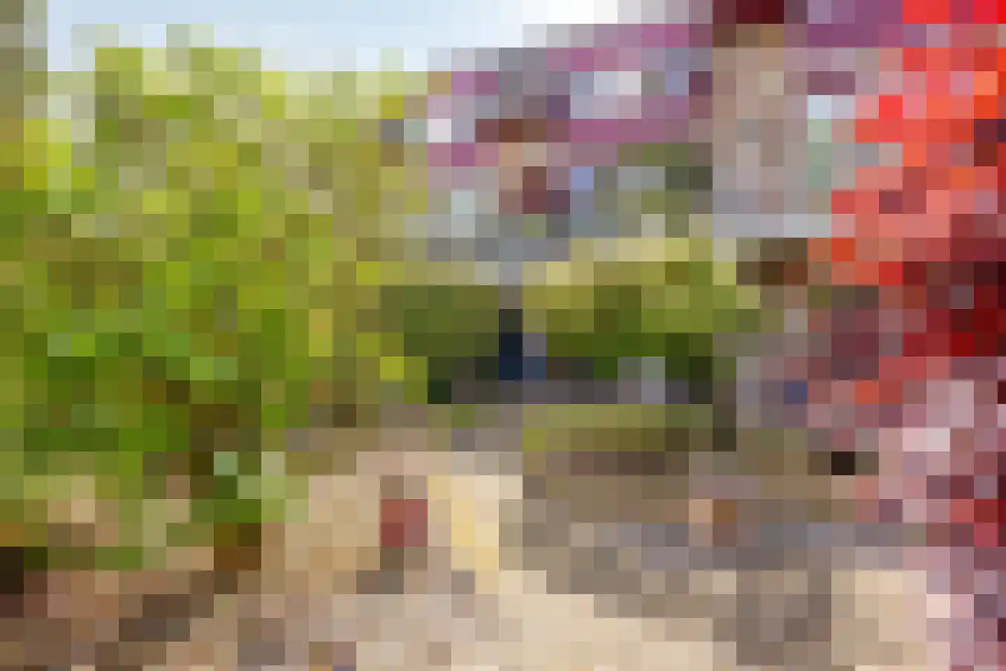 de Hoefkamp 1142 Nijmegen thumbnail 24