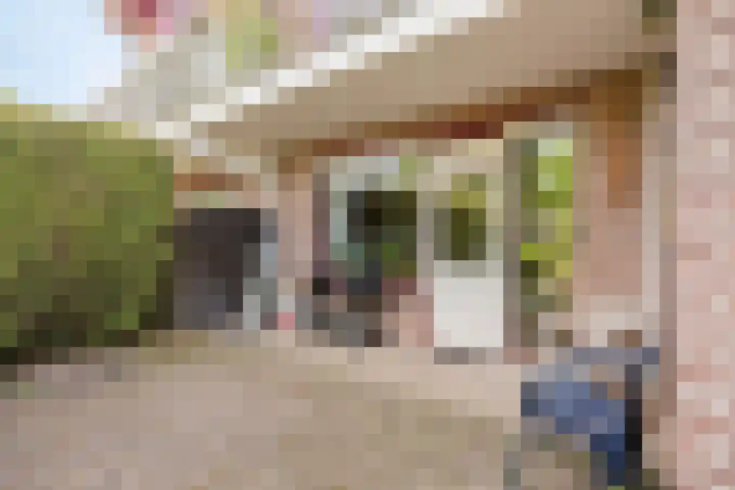 de Hoefkamp 1142 Nijmegen thumbnail 30