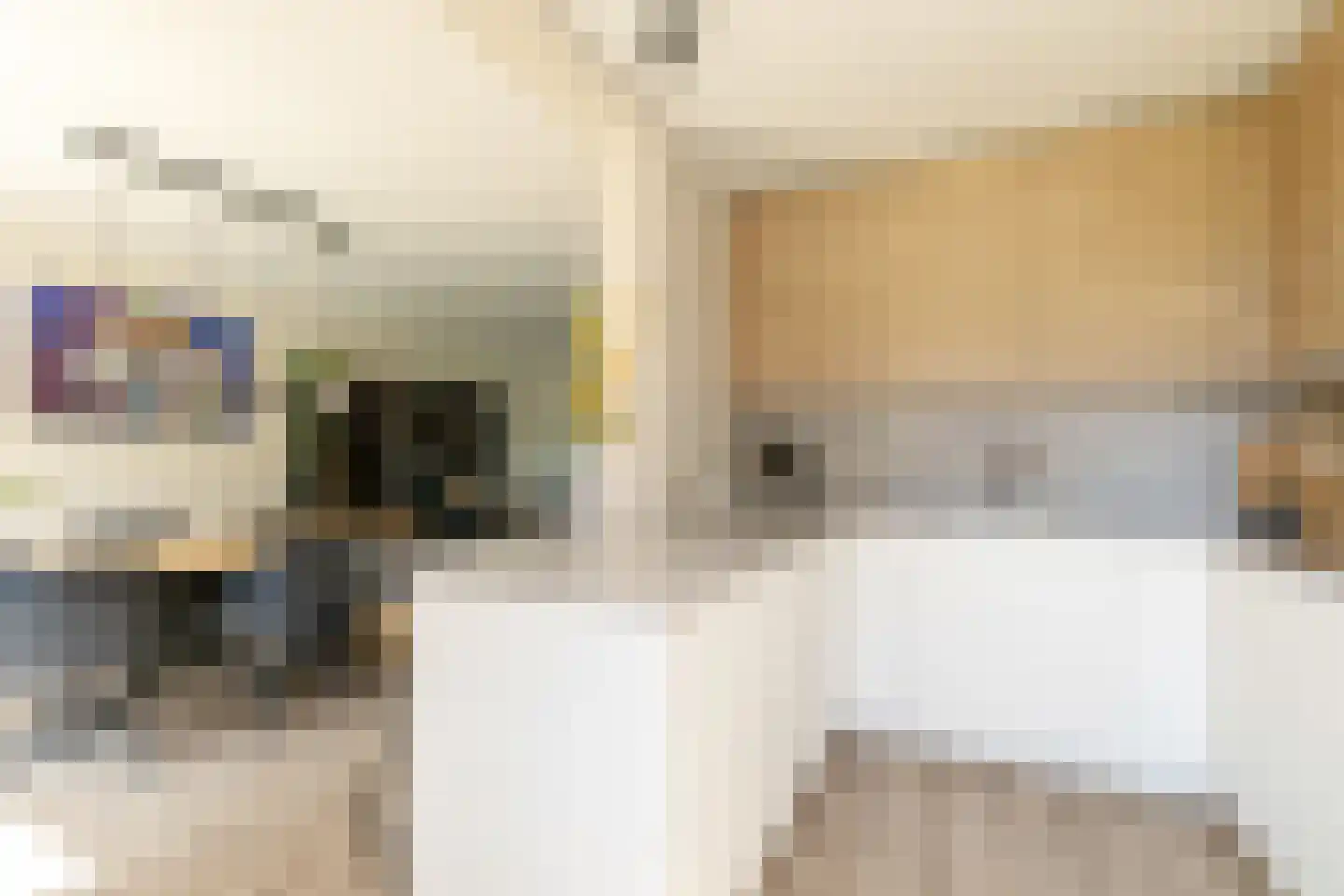 De Hoefkens 5 Moergestel thumbnail 20