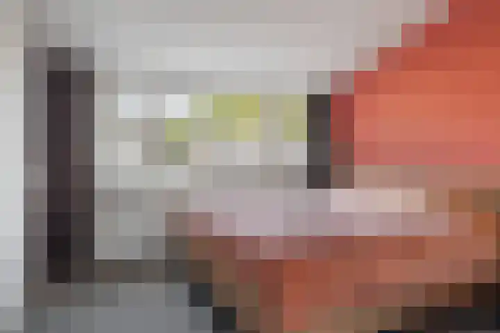 De Hoefslag 11 Buitenpost thumbnail 22
