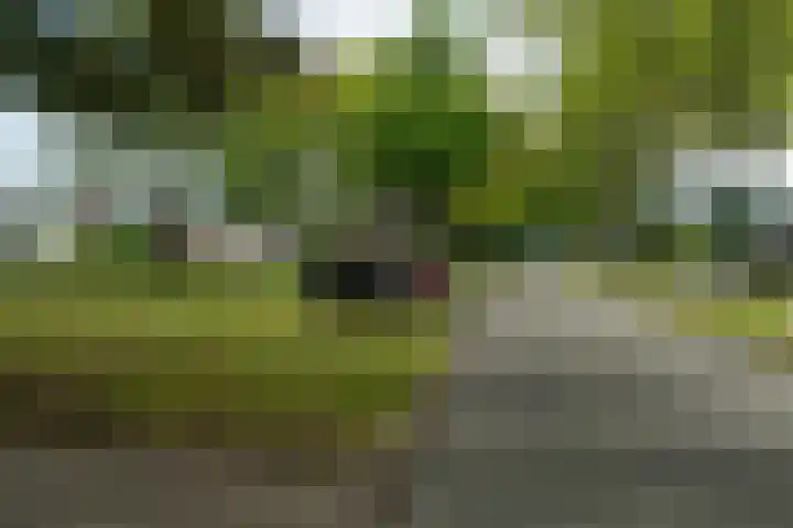 De Hoefslag 11 Buitenpost thumbnail 37