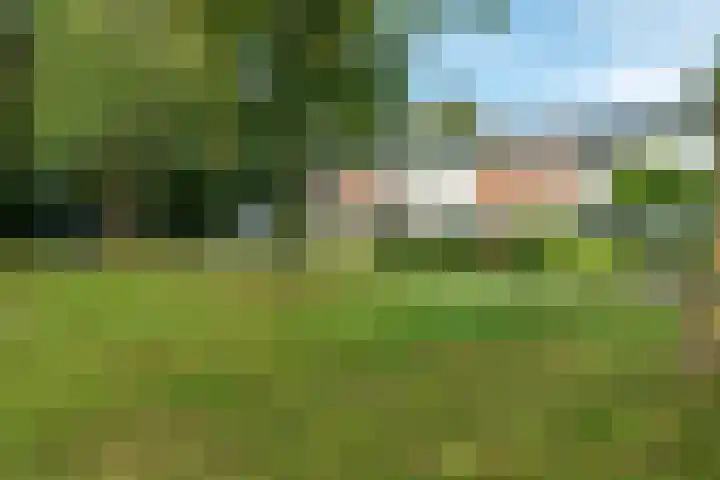 De Hoefslag 11 Buitenpost thumbnail 39