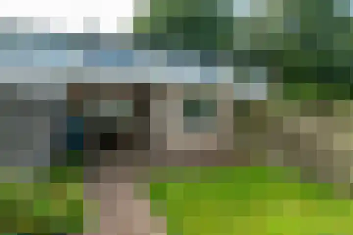 De Hoefslag 11 Buitenpost thumbnail 5
