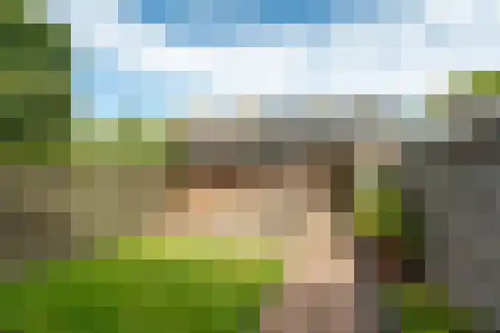 De Hoefslag 11 Buitenpost thumbnail 6