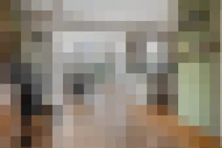 De Hoefslag 7 Dronten thumbnail 12