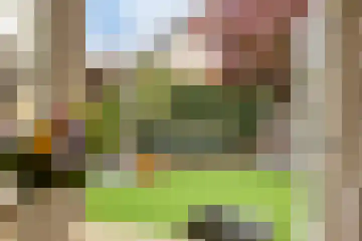 De Hoefslag 7 Dronten thumbnail 20