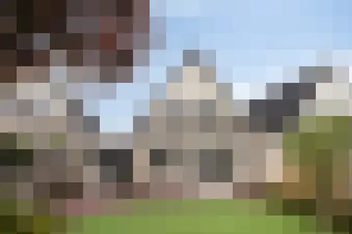 De Hoefslag 7 Dronten thumbnail 34