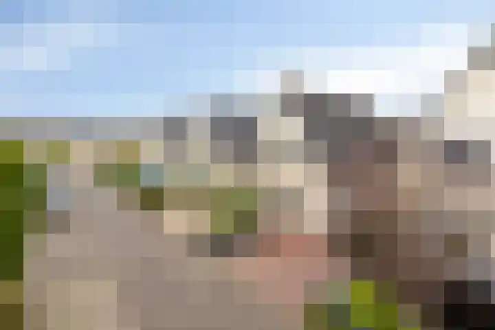 De Hoefslag 7 Dronten thumbnail 43