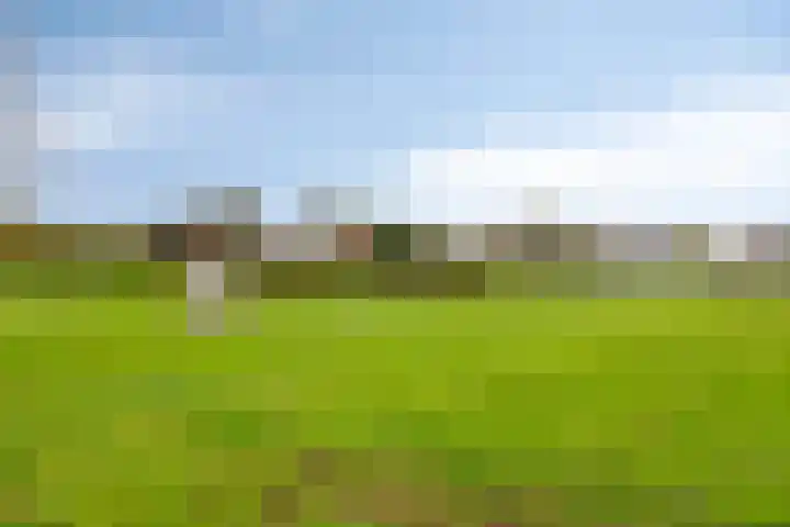 De Hoefslag 7 Dronten thumbnail 44