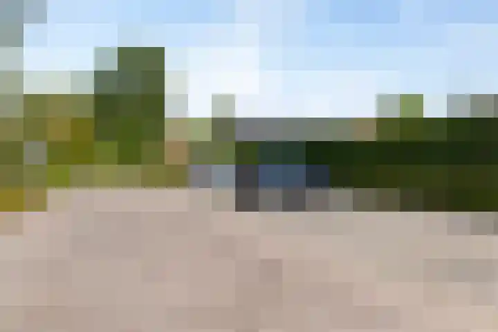 De Hoefslag 8 Made thumbnail 27