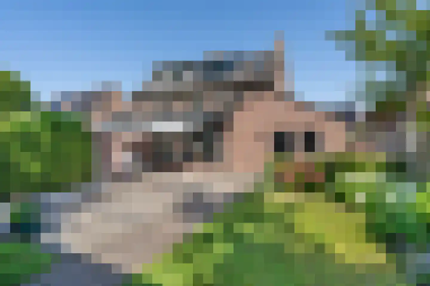 De Hoefsmid 8 Sint-Michielsgestel thumbnail 26