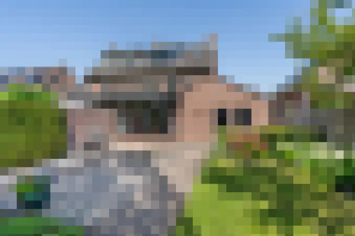De Hoefsmid 8 Sint-Michielsgestel thumbnail 27