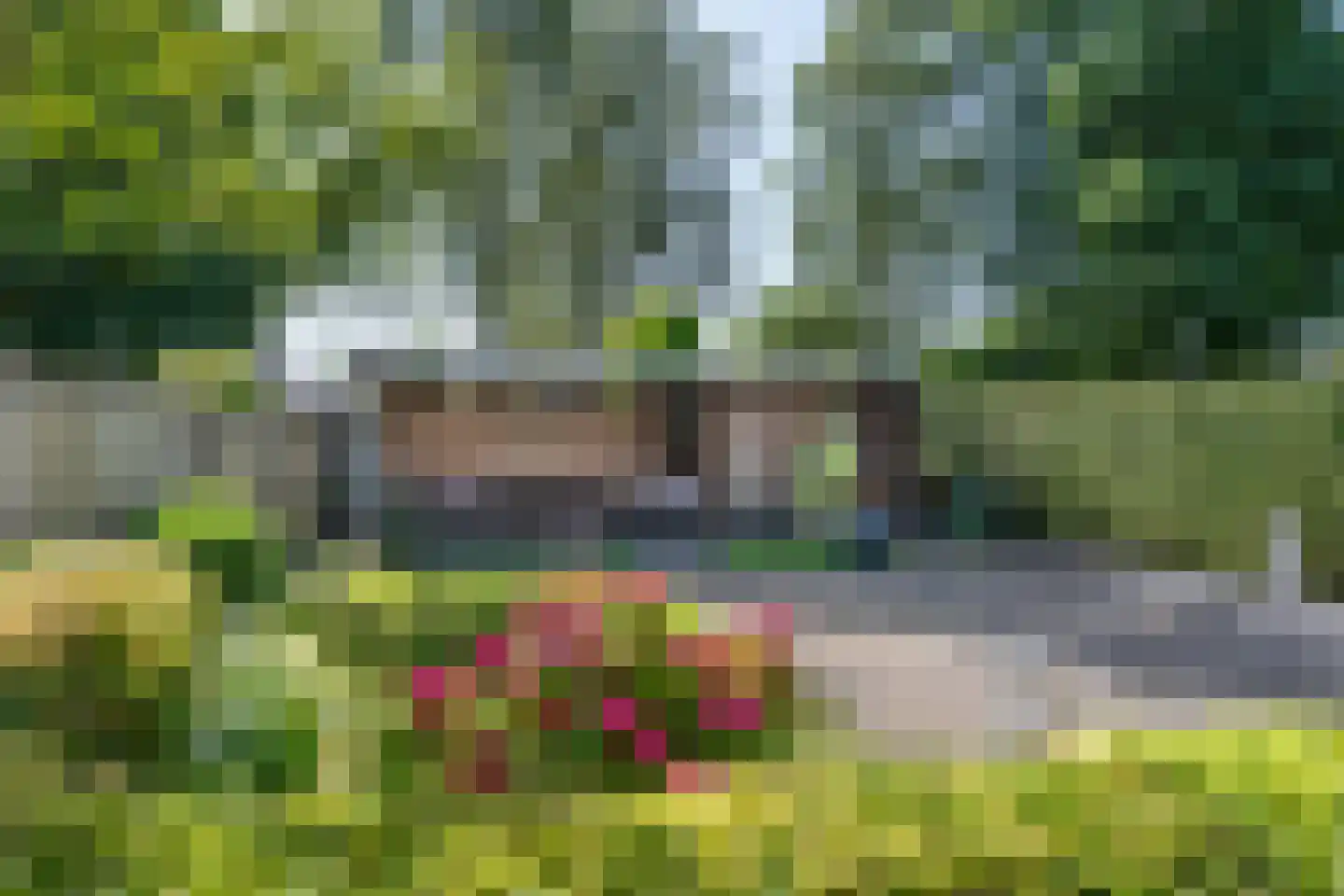 De Hoefsmid 8 Sint-Michielsgestel thumbnail 29