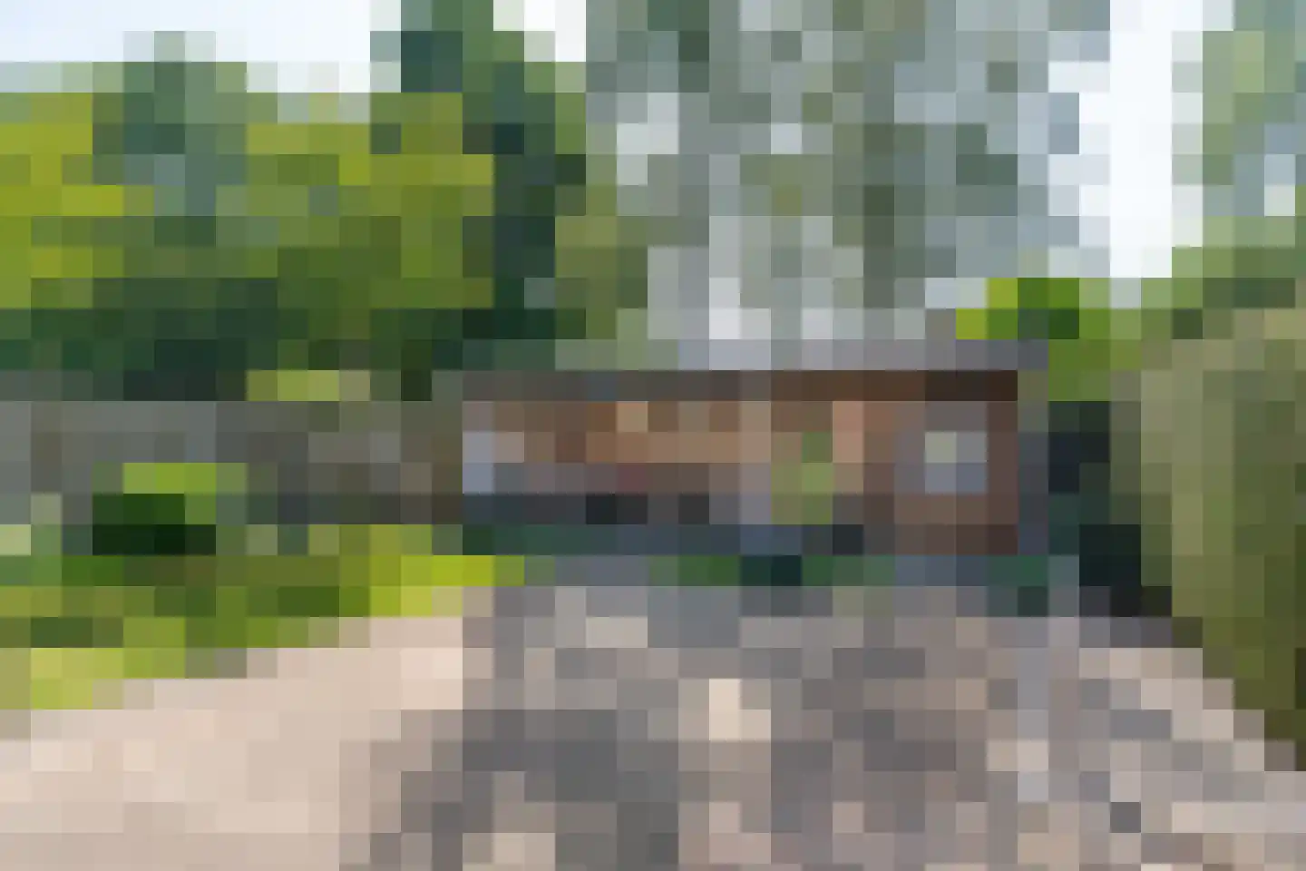 De Hoefsmid 8 Sint-Michielsgestel thumbnail 4