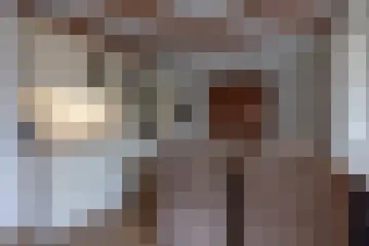 De Hoek 1 a Feanwâlden thumbnail 12