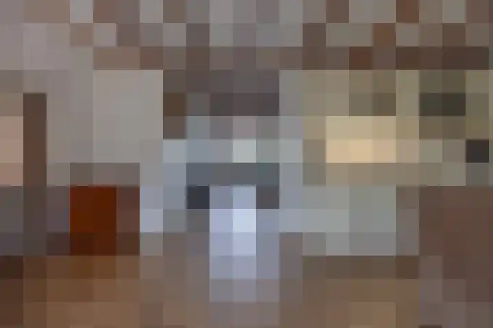 De Hoek 1 a Feanwâlden thumbnail 13
