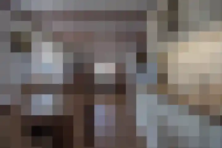 De Hoek 1 a Feanwâlden thumbnail 14