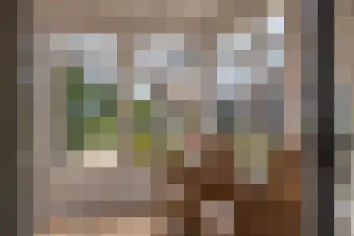 De Hoek 1 a Feanwâlden thumbnail 16