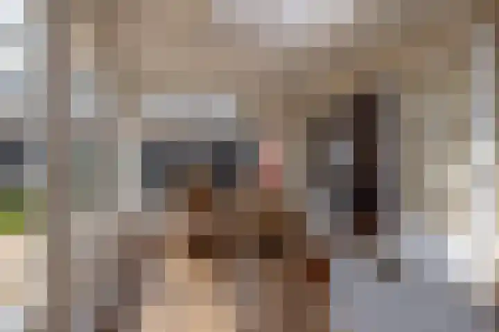 De Hoek 1 a Feanwâlden thumbnail 17