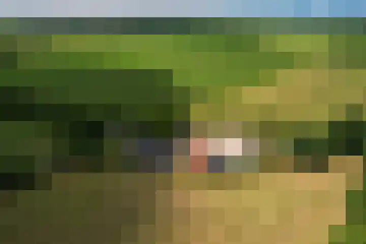 De Hoek 1 a Feanwâlden foto 2