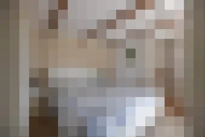 De Hoek 1 a Feanwâlden thumbnail 21