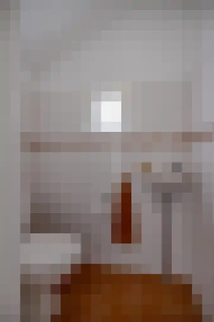 De Hoek 1 a Feanwâlden thumbnail 23